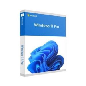 SW WIN 11 PRO 64Bit 1PK FQC-10538 IT